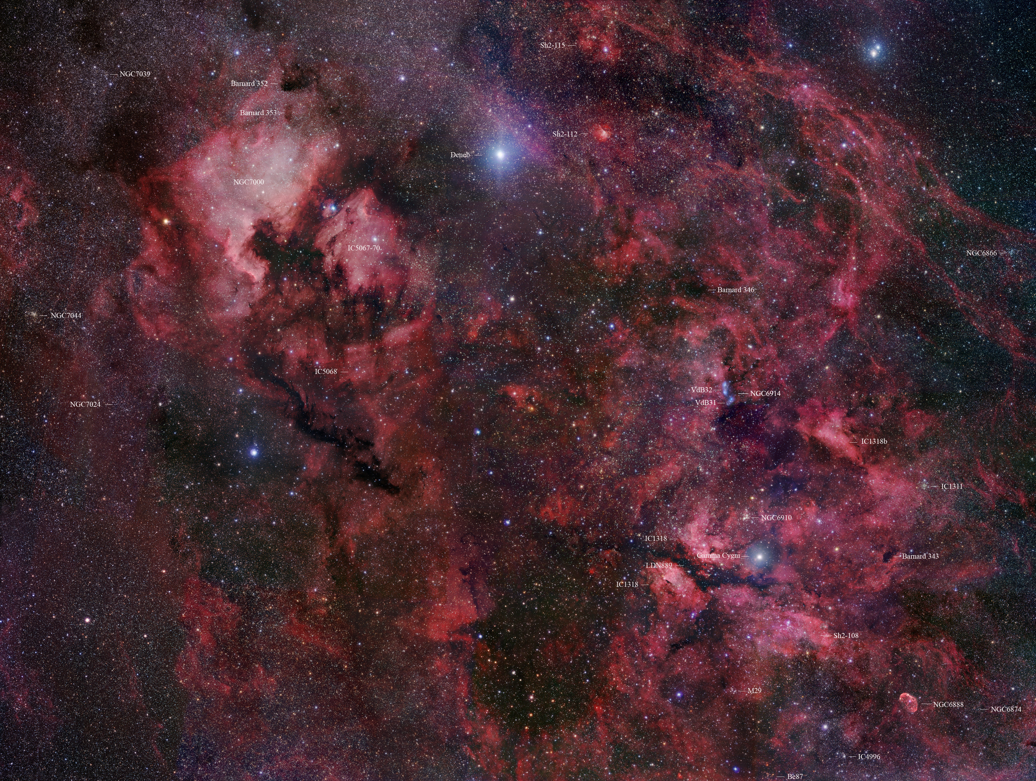 Région de la constellation du Cygne