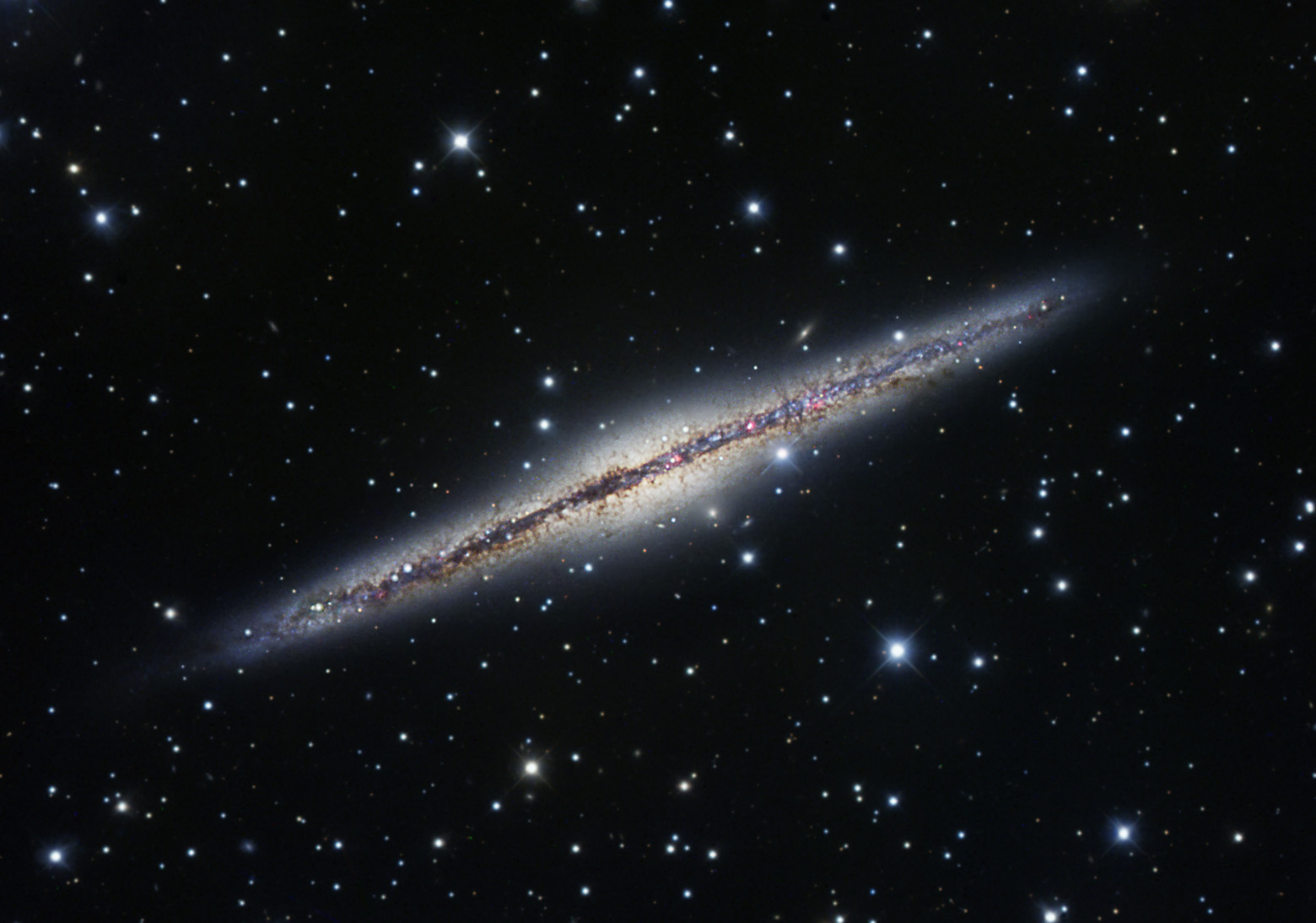 ngc 891